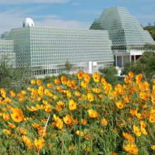 flowers in front of biosphere 2